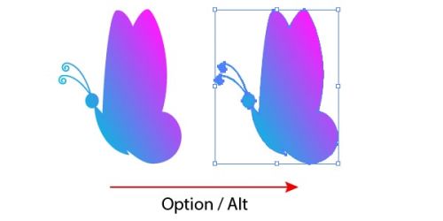 آموزش جابجایی و تکثیر اشکال در ایلوستریتور